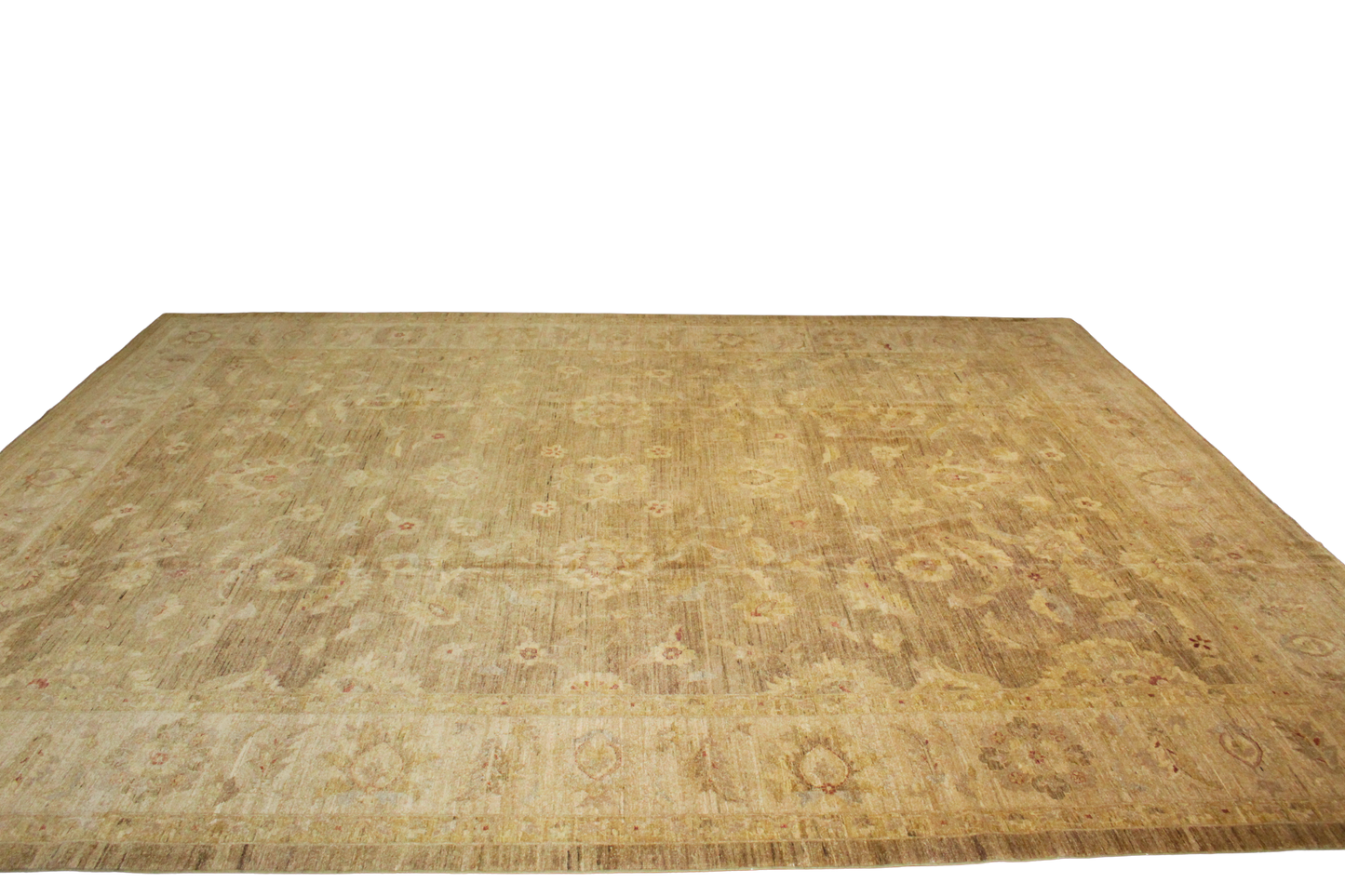 Transitional area rug
