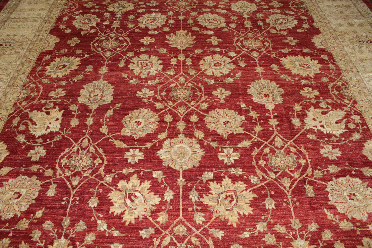 Pakistani Hand Knotted Rug