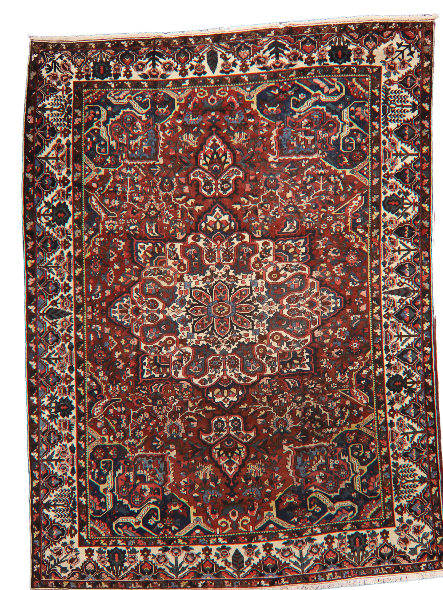 Garden Emblem - Baktiary Rug from Persia (10.7 × 14.5 ft) - 1725