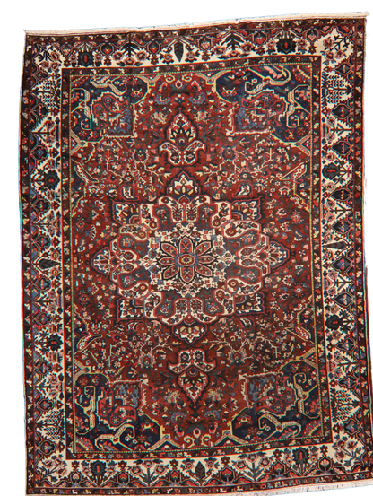 Garden Emblem - Baktiary Rug from Persia (10.7 × 14.5 ft) - 1725