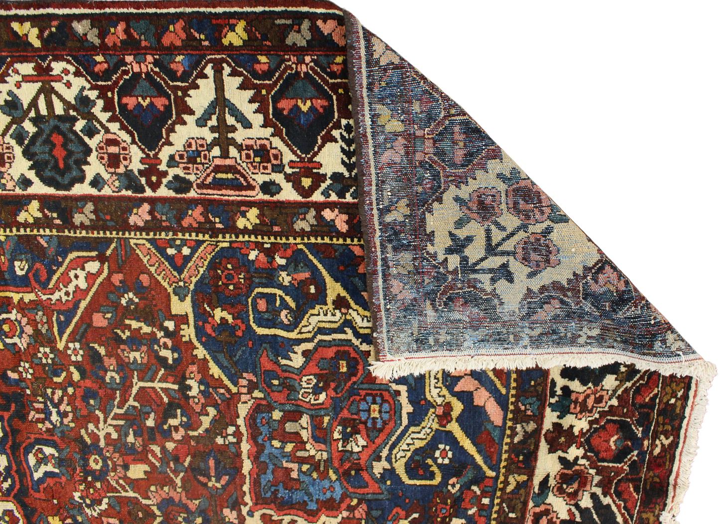 Garden Emblem - Baktiary Rug from Persia (10.7 × 14.5 ft) - 1725