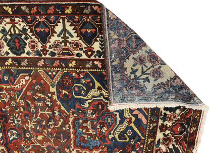 Garden Emblem - Baktiary Rug from Persia (10.7 × 14.5 ft) - 1725