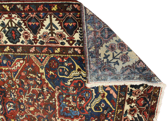 Garden Emblem - Baktiary Rug from Persia (10.7 × 14.5 ft) - 1725