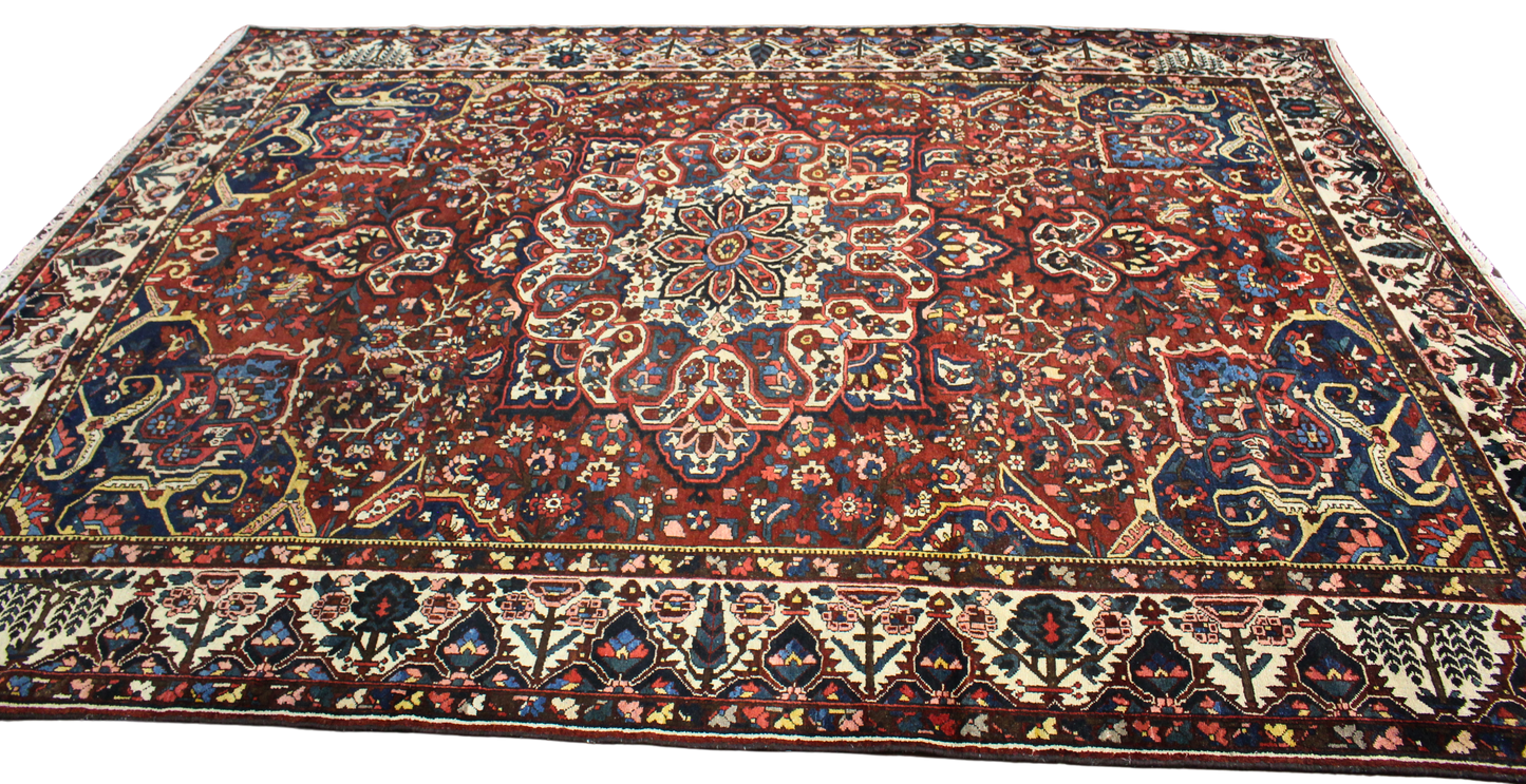 Garden Emblem - Baktiary Rug from Persia (10.7 × 14.5 ft) - 1725