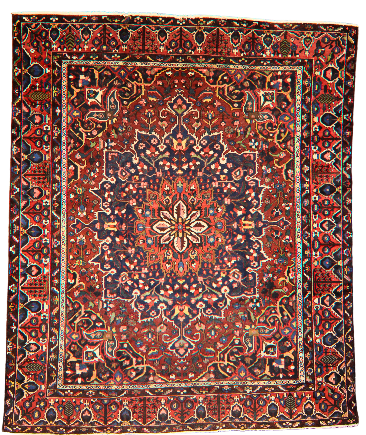 Geometric Bloom - Baktiary Rug from Persia (11.3 × 13.5 ft) - 1752