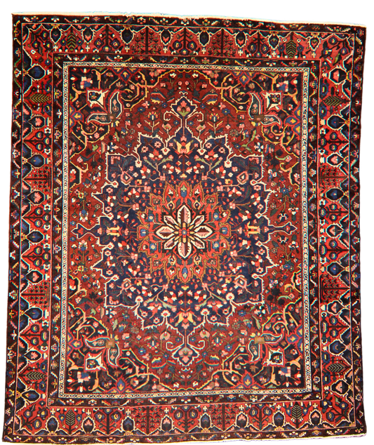Geometric Bloom - Baktiary Rug from Persia (11.3 × 13.5 ft) - 1752