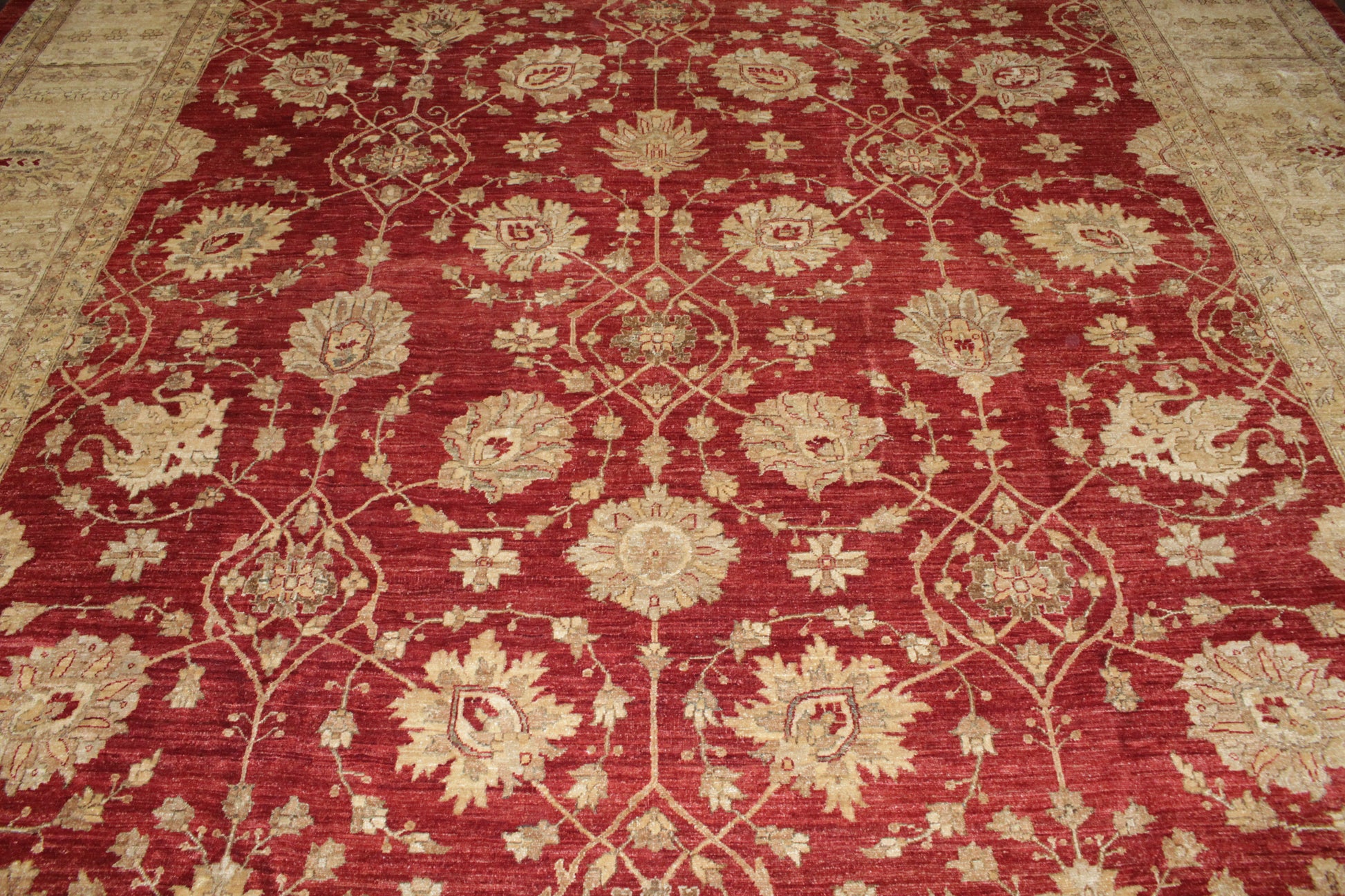 Pakistani Hand Knotted Rug