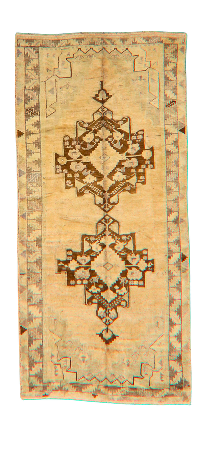 1864