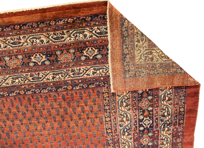 Enduring Elegance - Antique Persian Mir Rug in Brick and Navy (10.4 × 16.3 ft) - 1700