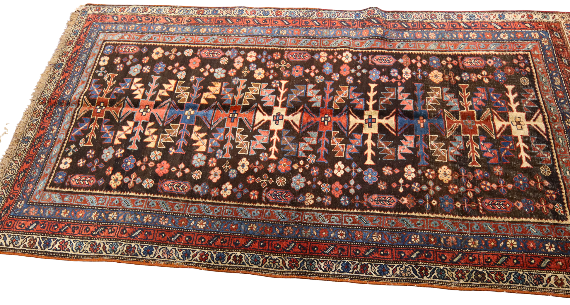collectible antique Bidjar rug with ivory accents
