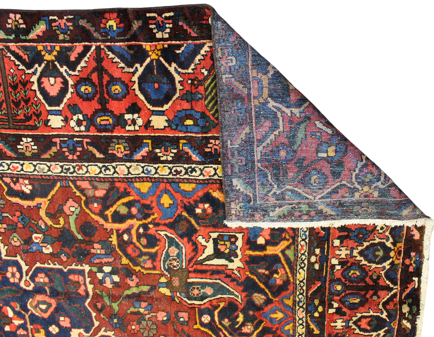 Geometric Bloom - Baktiary Rug from Persia (11.3 × 13.5 ft) - 1752