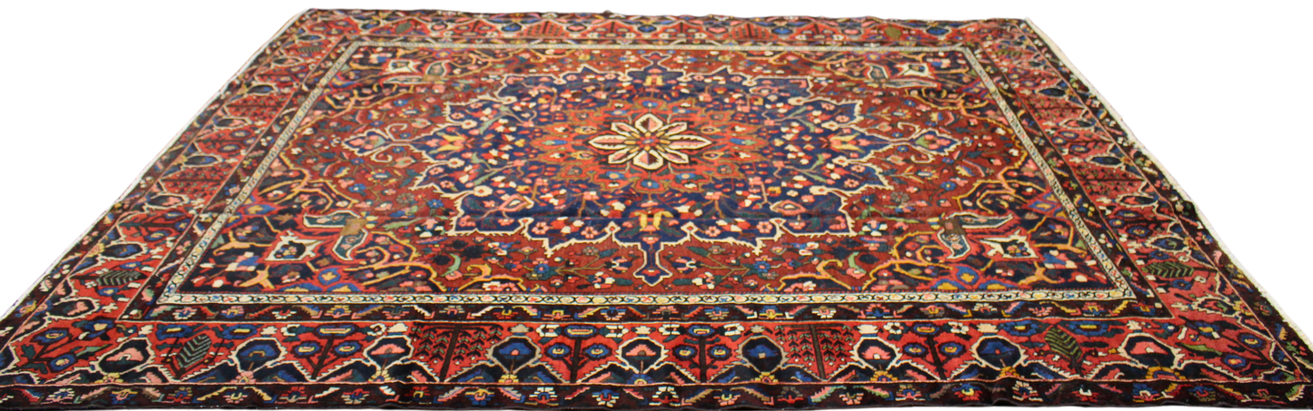 Geometric Bloom - Baktiary Rug from Persia (11.3 × 13.5 ft) - 1752